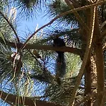 Acm Atlantique Club Marvilla Parcks Kamp alanı