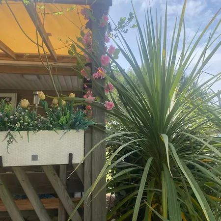 Location Ete Acm Mobile 6 Pers * Montalivet-les-Bains